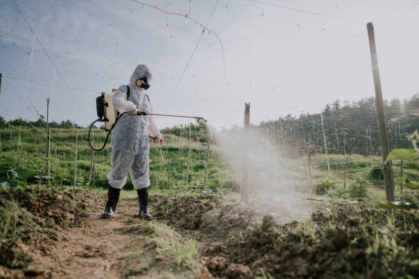 Best Mosquito Control Services  in Ashburn, GA