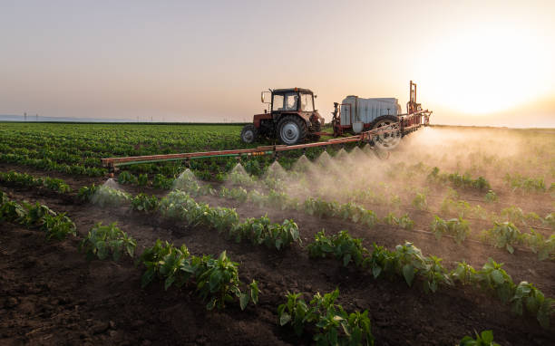 Best Mosquito Control Services  in Ashburn, GA
