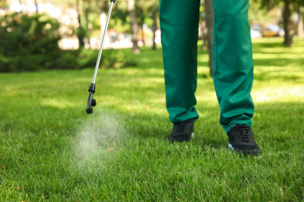 Best Bird Control  in Ashburn, GA