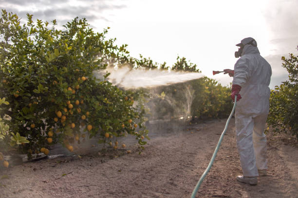 Best Wasp Removal Services  in Ashburn, GA