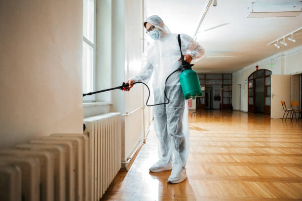 Best Termite Control Services  in Ashburn, GA