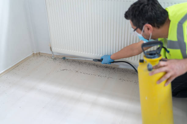 Best Wasp Removal Services  in Ashburn, GA