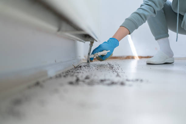 Best Pest Inspection Near Me  in Ashburn, GA
